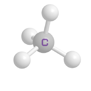 Bromo Cresol Purple Solution